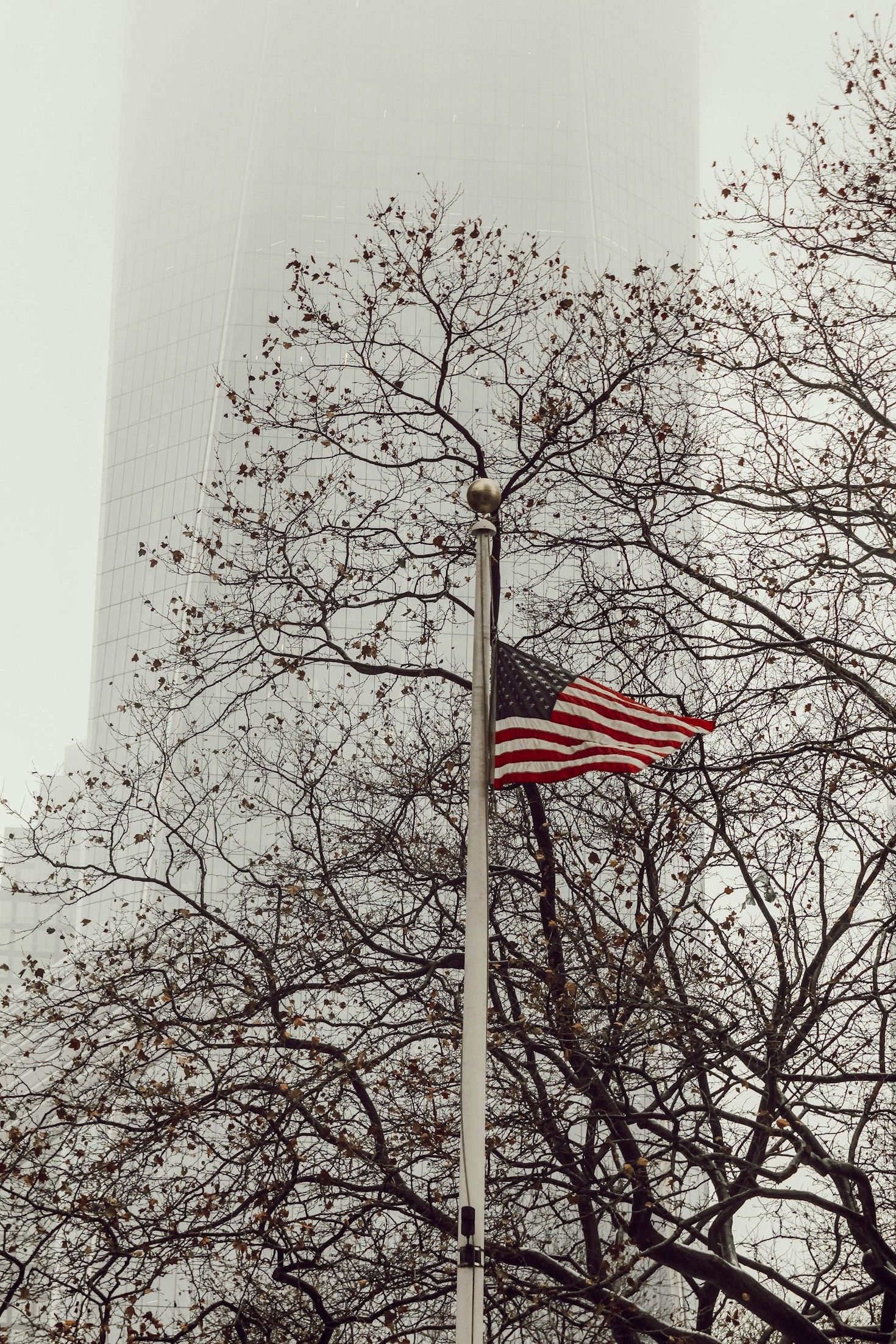 Partnering for a Stronger North Carolina